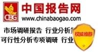 中國數(shù)碼印刷市場現(xiàn)狀研究與發(fā)展前景分析報(bào)告