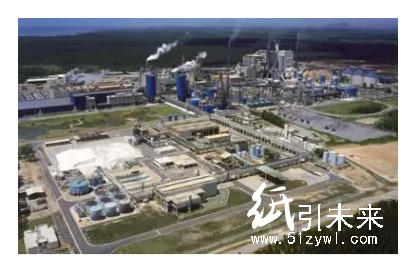 全球首個千萬噸級木漿企業(yè)即將于1月14日正式誕生