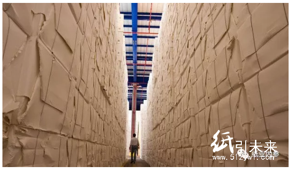 全球首個千萬噸級木漿企業(yè)即將于1月14日正式誕生