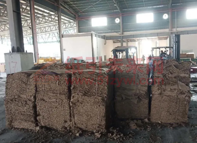 馬來西亞廢紙漿線投產(chǎn)