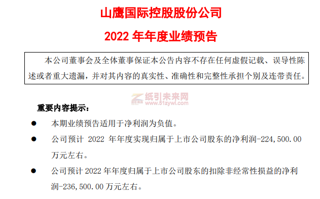 山鷹紙業(yè) 2022年業(yè)績報告 紙引未來網(wǎng)